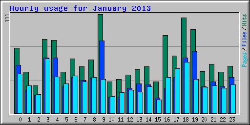 Hourly usage for January 2013