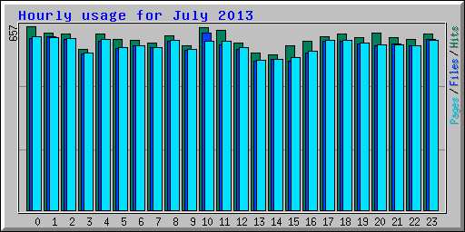 Hourly usage for July 2013