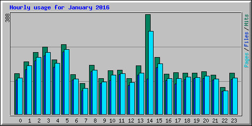 Hourly usage for January 2016